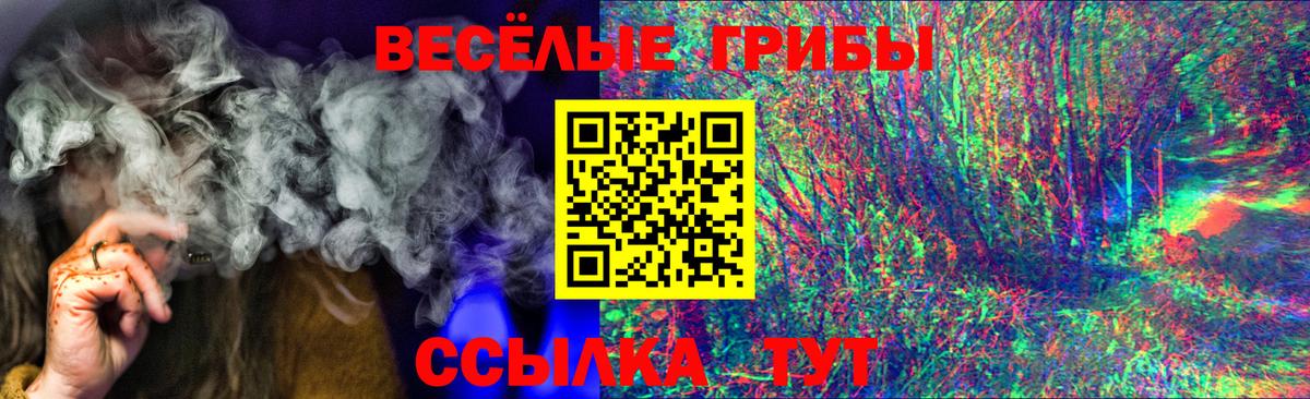 Галлюциногенные грибы MAGIC MUSHROOMS  Вход с VPN  Кохма  Галлюциногенные грибы Psilocybine cubensis 