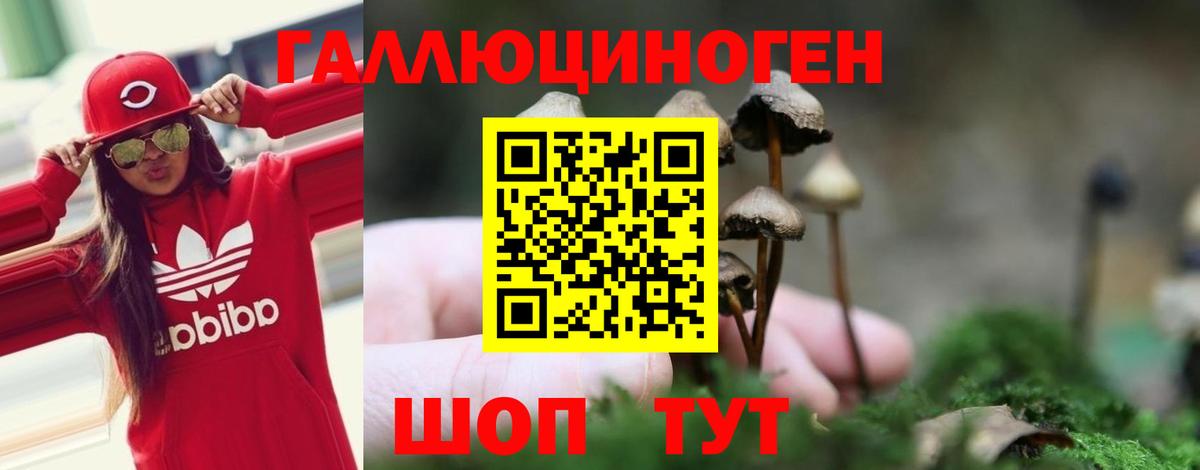Галлюциногенные грибы Cubensis Кохма